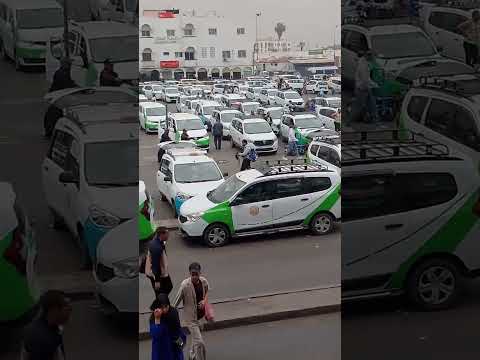 Fatima Tabaamrant La Diva Amaziv