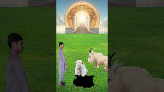 Lets See Which Is Good Tauseef Ihsan World