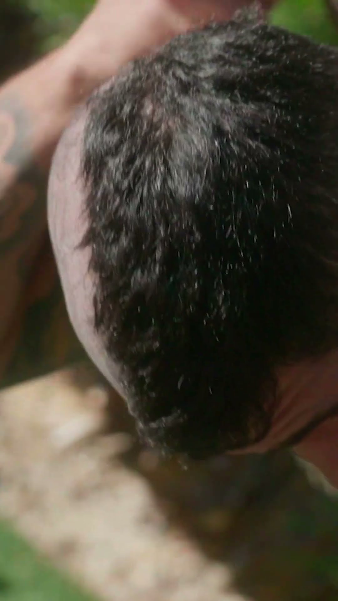 When Alex Pereira transformed into Poatan ? #ufc