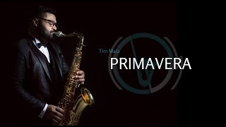 Primavera - Tim Maia // Instrumental // Sax