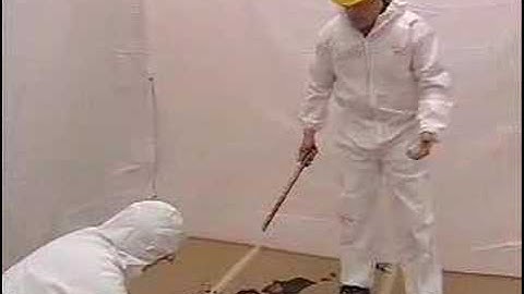 The Making of a Blood Stain Analyst