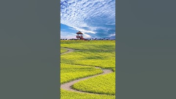 تلاوة خاشعة..منظر طبيعي