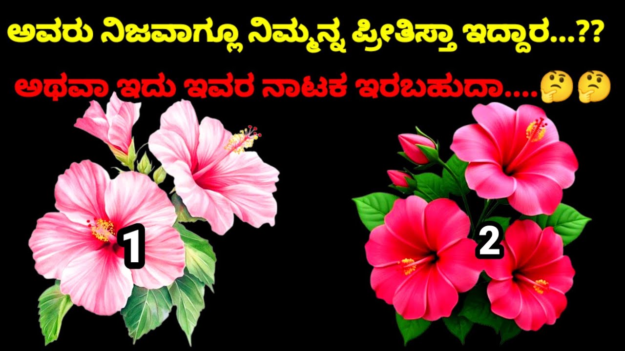 💫💕ಅವರ ಹೆಸರನ್ನು ನೆನೆಸಿಕೊಂಡು ಒಂದು ಸಂಖ್ಯೆಯನ್ನು ಆರಿಸಿ ಮತ್ತು ಅವರ ಪ್ರೀತಿ ನಿಜವೋ ಸುಳ್ಳೋ ಎಂದು ನೋಡಿ 😘🥀 