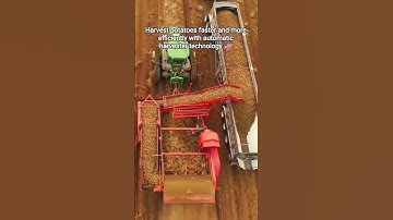 ll Modern Automatic Potato Harvester ll 🇺🇸