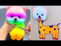 Cute pomeranian puppies doing funny things 10  cute and funny dogs  mini pom