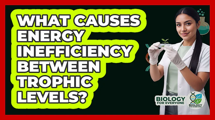 What Causes Energy Inefficiency Between Trophic Levels?