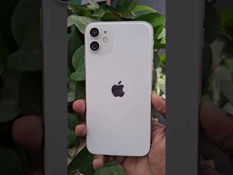 Iphone 11 In 2025 Worth It