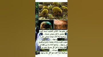 ❤القرآن الكريم❤ #explore #beautiful #love #طوندونس #تراند #اكسبلور #تيك_توك #طبخ #لايك #دويتو 🤩👇👇👇👇