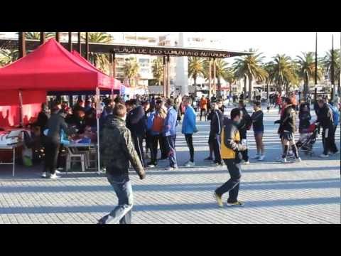 Vídeo: Stray Dog Runs Improvisada Mitja Marató Al Costat De Corredors, Guanya Medalla