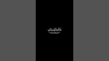فالذين هاجروا وأخرجوا  من ديارهم ||#ماهر_المعيقلي سورة آل عمران كرومات قُرُآنَ شاشه سوداء #quotes