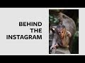 INSTAGRAM vs REALITY: BALI MONKEY FOREST | Travel photography test