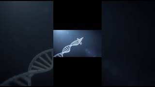 Le stress raccourcit ton ADN — comment inverser ce processus (Prix Nobel)
