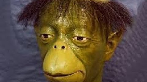 Caught Cheating In Rules of Survival PC | MrKapapa