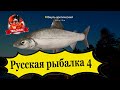Русская рыбалка 4 Шел за миногой а вышел мировой рекорд недели