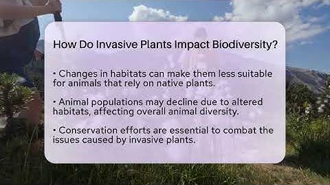 How Do Invasive Plants Impact Biodiversity? - Ecosystem Essentials