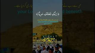 Surah Maryam Quran Tilawat #shorts #trustonallah #quran