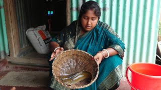 আজ দেশি মাগুর মাছ দিয়ে কি রান্না করলাম \ Village Style Magur Fish Recipe \ Village Life Style