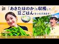 遠山大輔・潮紗理菜 『「あきたほのか」を収穫して、豆ごはんをいただきます!』in 秋田県 平沢ファーム【JA全農COUNTDOWN JAPAN】