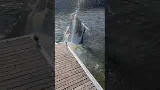Three Girls Falls off a Jet Ski into Water