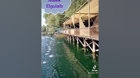 #القارئ مالك القليب #ليبيا #طرابلس #istanbul_turkey #مصراته #البوسنة #sarajevo #قرآن #بنغازي #مصر