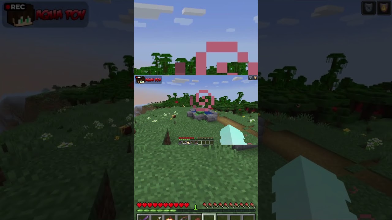 Hide and Seek With Morph Mod is HILARIOUS