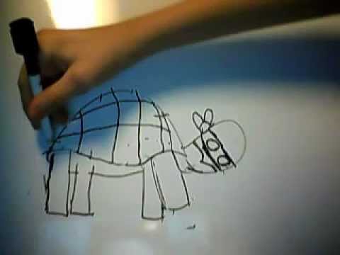 Whiteboard Drawings: Turtle