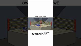 Owen Hart's Death Explained.  #wwe #owenhart