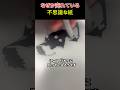 なぜか売れている 不思議な紙