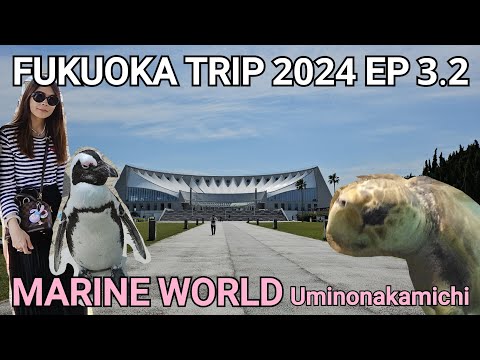 FFLuxeLoverตู้เย็นข้างบ้าน FUKUOKA TRIP 2024 ... MARINEWORLD UMINONAKAMICHI