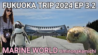 #FUKUOKA TRIP 2024 ... #MARINEWORLD #UMINONAKAMICHI