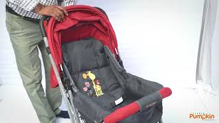 LITTLE PUMPKIN KIDDIE KINGDOM STROLLER ASSEMBLY VIDEO