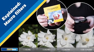 Macro Filters Explained