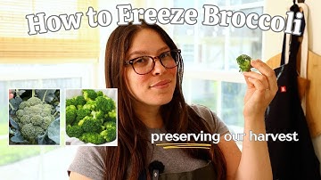 How to Freeze Broccoli, My Favorite Way to Preserve Broccoli