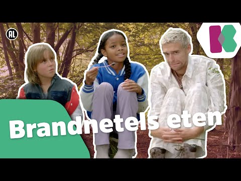 Video: Kinderen van de natuur - muskuikens