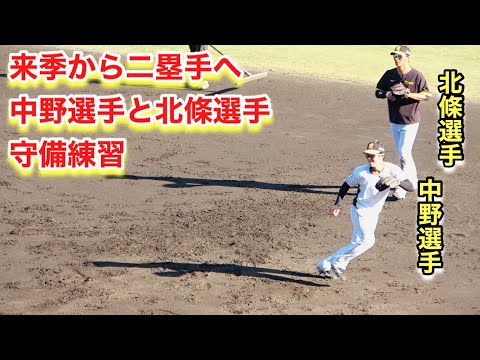 来季から二塁手へ！中野選手と北條選手の三塁特守【2022年阪神タイガース安芸秋季キャンプ】