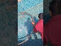 founten repairing and maintenence