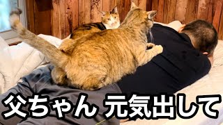 飼い主ダウン 入院11匹の保護猫たちが生きる力になる