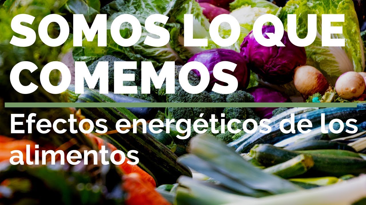 SOMOS LO QUE COMEMOS - Efectos Energeticos de los alimentos (Clase de Macrobiótica) 😋