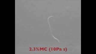 C. elegans nematode swimming in viscous media transitions between motor gates