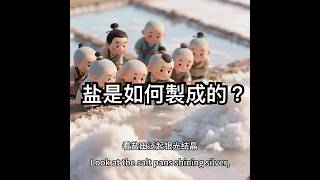 【3D 动画】古代人是怎么从海水里变出盐的?迷你小人的神奇制盐术!