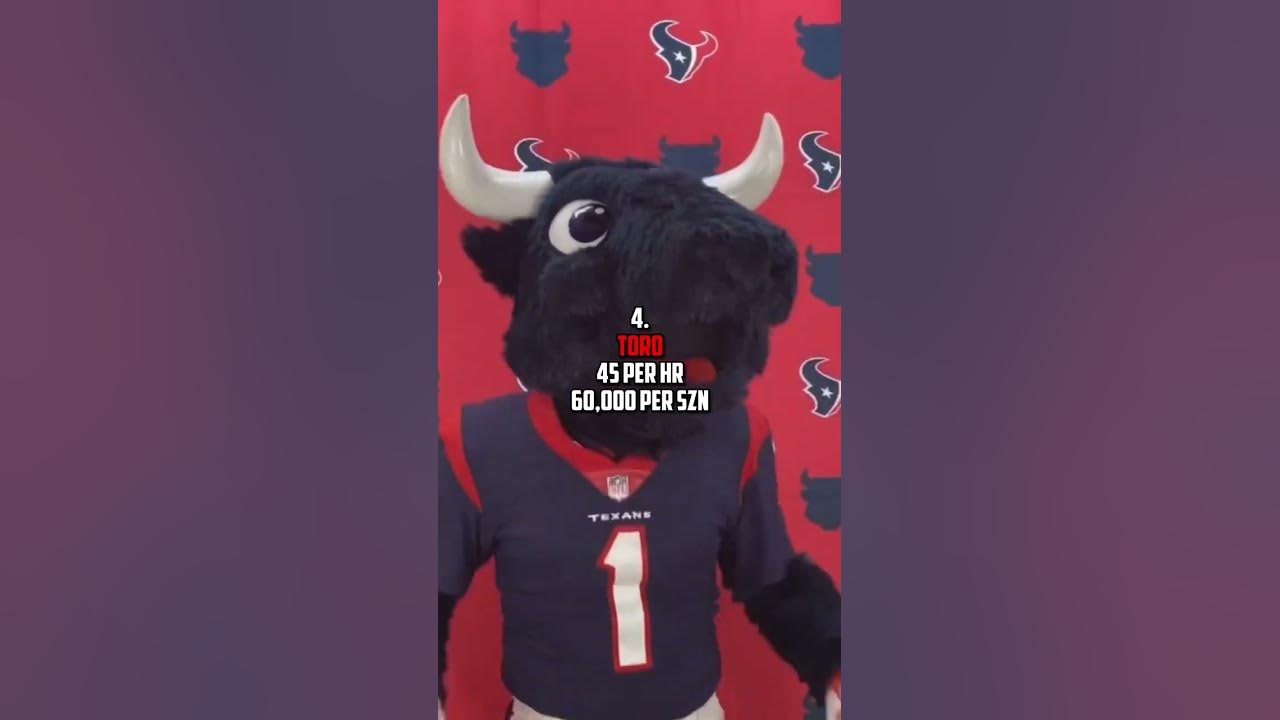 Top 5 highest paid NFL mascots YouTube