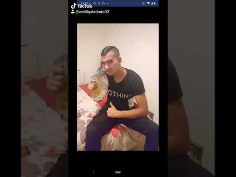 sqka maika shapioni
