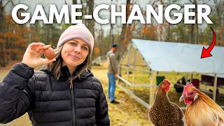 More Food Less Work: Homestead Hacks That Actually Save Time