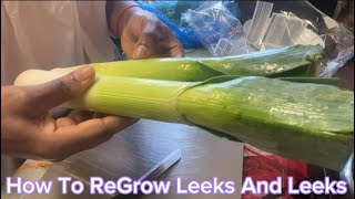 How To Regrow Your Leeks And Celery 