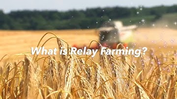 Relay Farming - Regen Minute