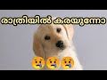 puppy crying at night : GSD puppy : German shepherd training :LAZE MEDIA :Dog training malayalam