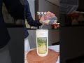 雪梨和猕猴桃搭配真是yyds啊!口感清爽解腻,这个天气喝上一杯真的太舒服了!#榨汁机 #榨汁 #鲜榨果汁搭配 #鲜榨果汁 #榨汁杯