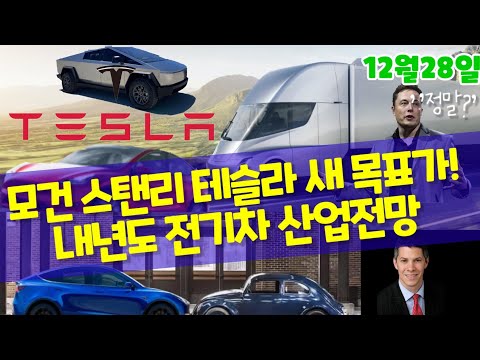   테슬라 모건 스탠리 목표가 하향 왜 내년도 전기차 산업전망과 테슬라는 Tesla Tsla