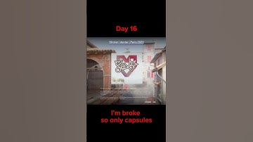 OPENING A CASE EVERYDAY UNTIL I GET A GOLD DAY 16 #counterstrike #cs #case