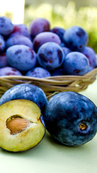 Damson: Delicious fruit #shorts #damson #fruitlovers #plantlovers #fruits #plants @Plants-World